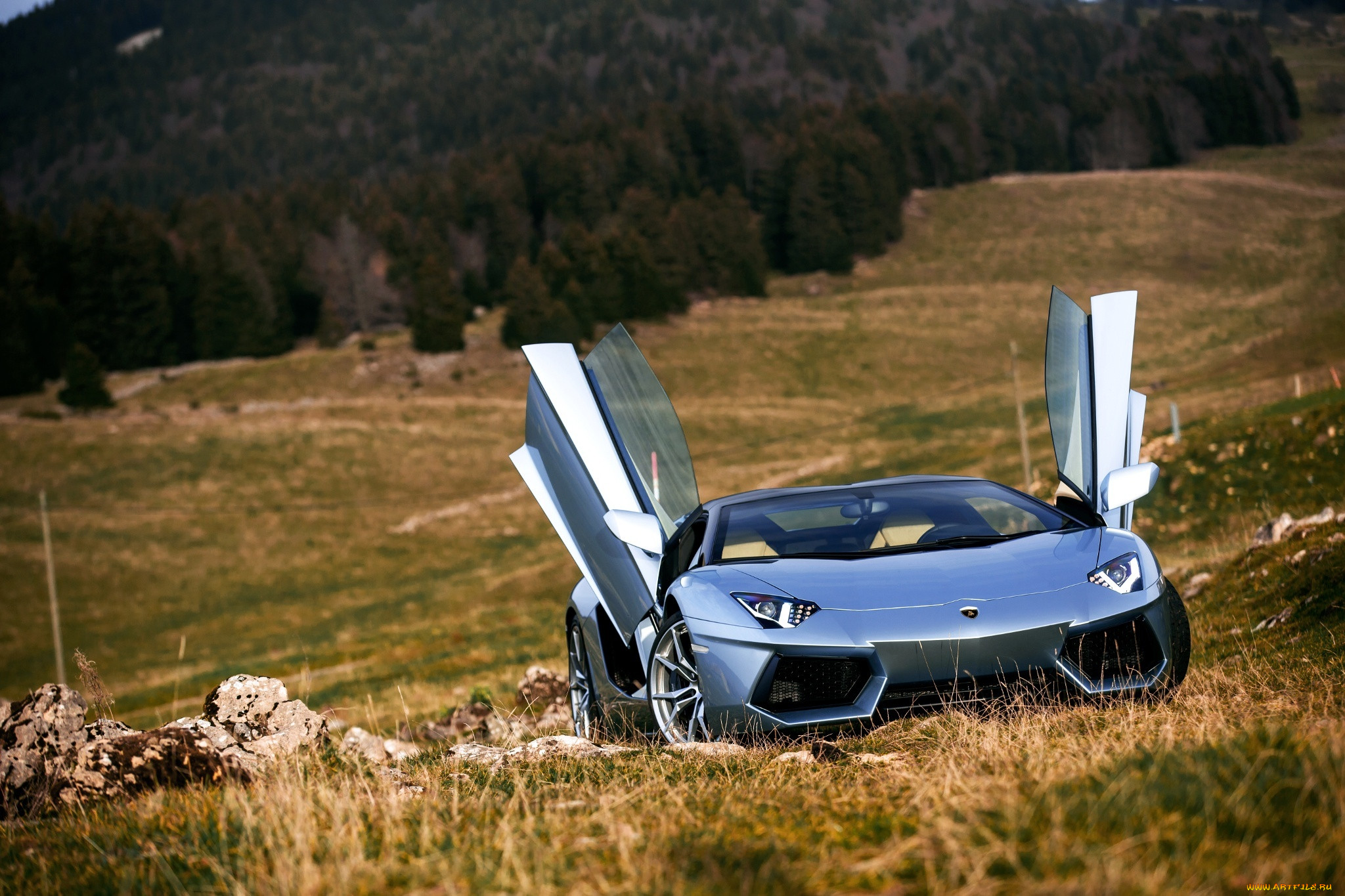 , lamborghini, roadster, lp700-4, front, ligth, nature, aventador, door, silver, supercars